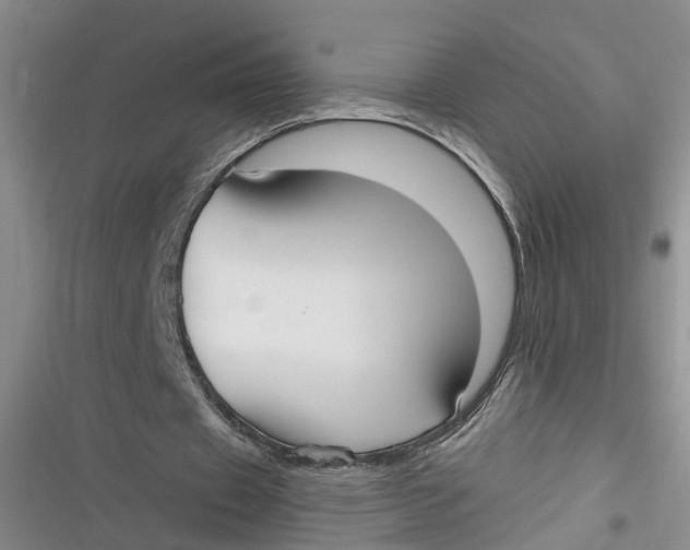 X0000116850433201001121223