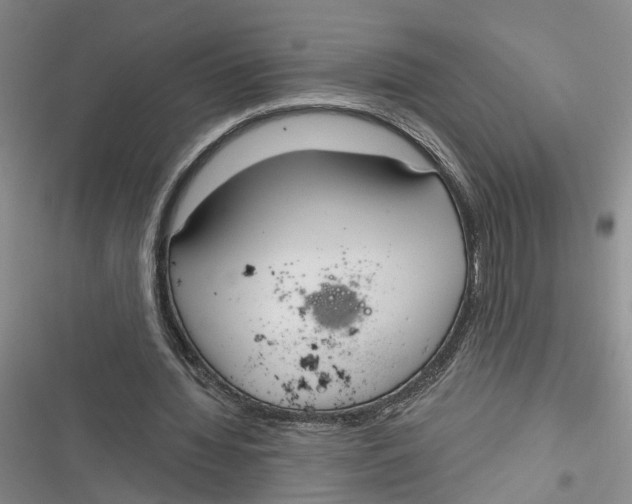 X0000116850436201001121223
