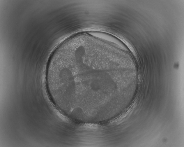 X0000116850437201001121223