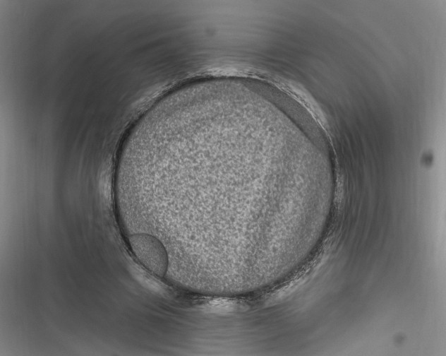 X0000116850441201001121223