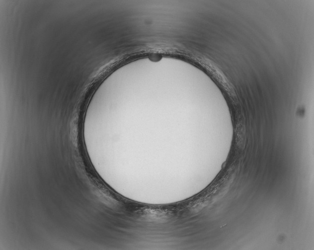 X0000116850442201001121223