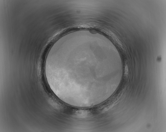 X0000116850444201001121223