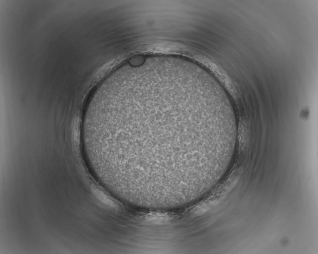 X0000116850445201001121223