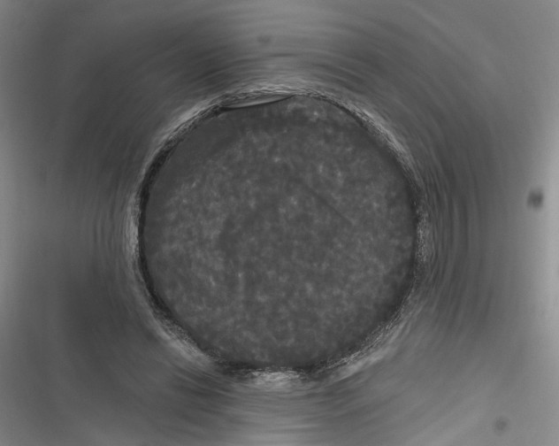 X0000116850446201001121223