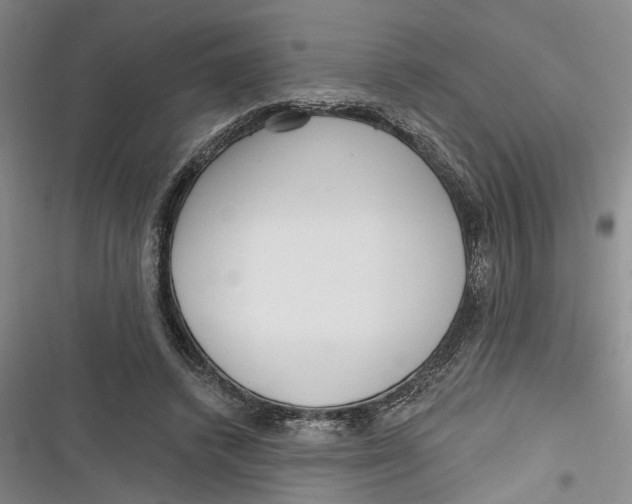 X0000116850448201001121223