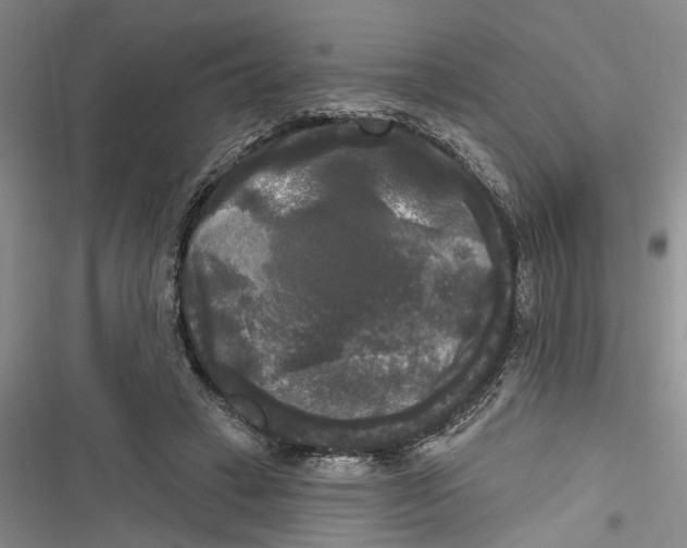 X0000116850449201001121223