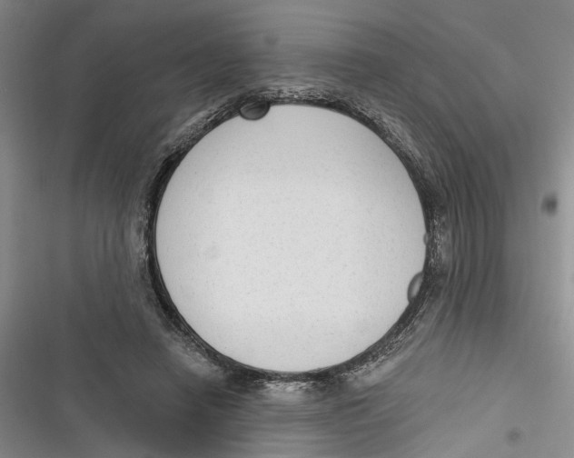 X0000116850450201001121223