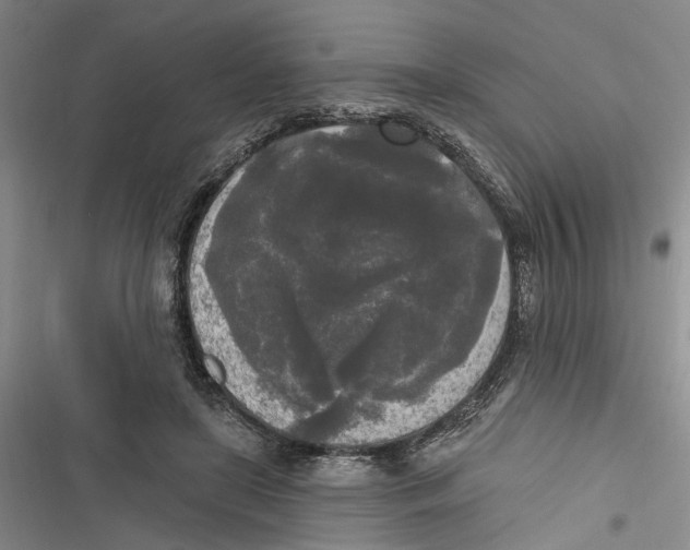 X0000116850451201001121223