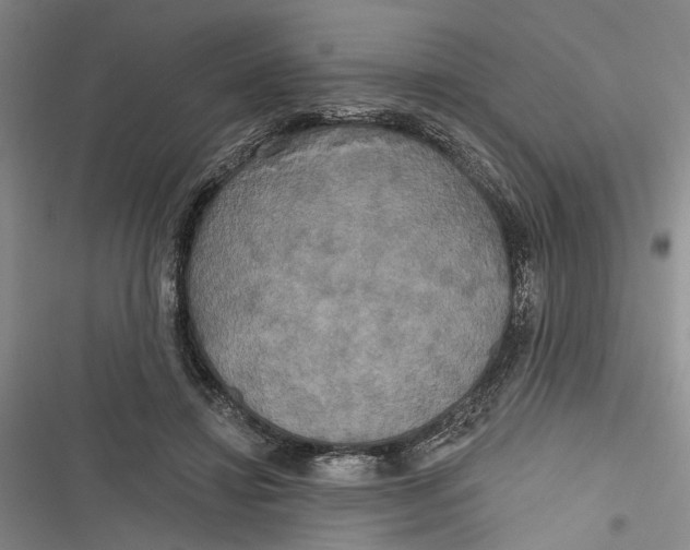 X0000116850452201001121223