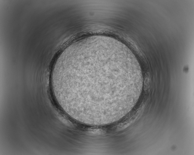 X0000116850454201001121223