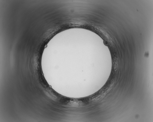 X0000116850455201001121223