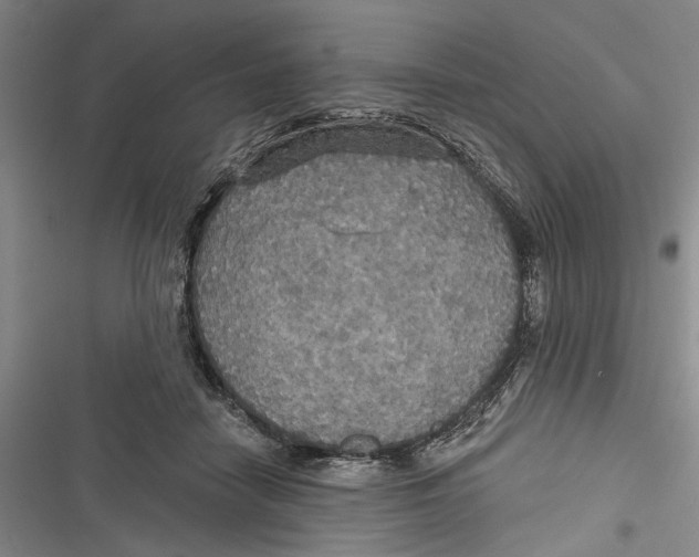 X0000116850458201001121223