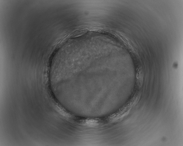 X0000116850462201001121223