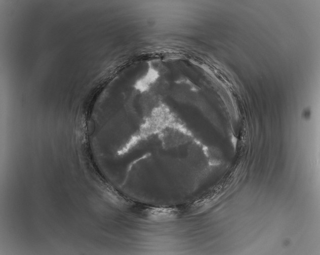 X0000116850465201001121223