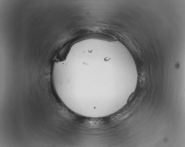 X0000116850466201001121223