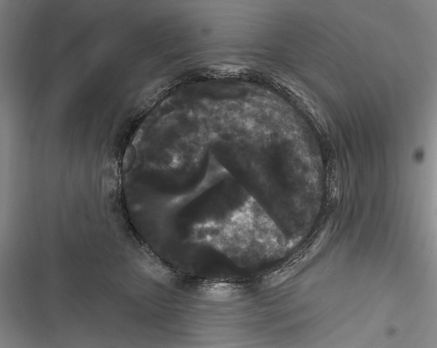 X0000116850467201001121223