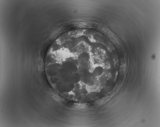 X0000116850469201001121223