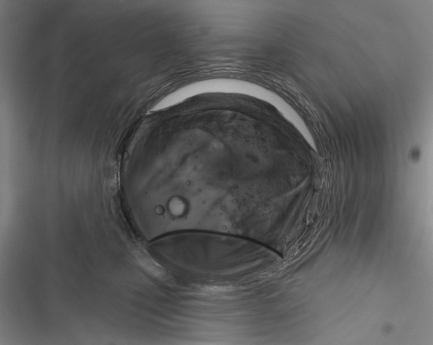 X0000116850471201001121223