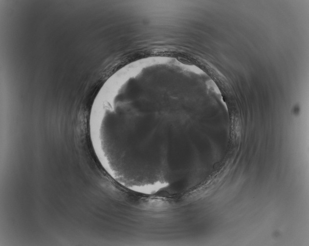 X0000116850475201001121223