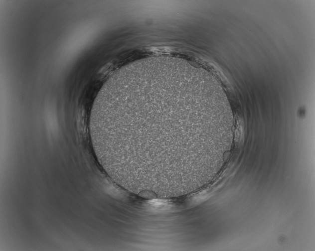 X0000116850477201001121223