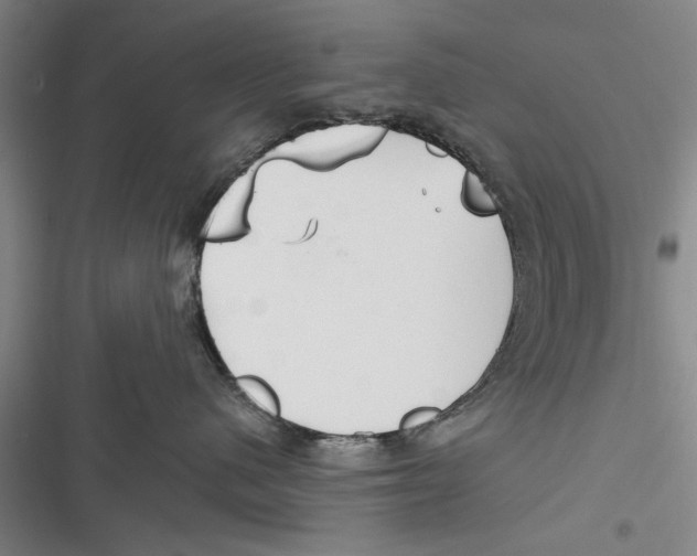 X0000116850480201001121224