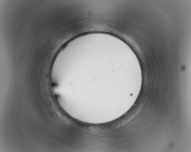 X0000116850481201001121223
