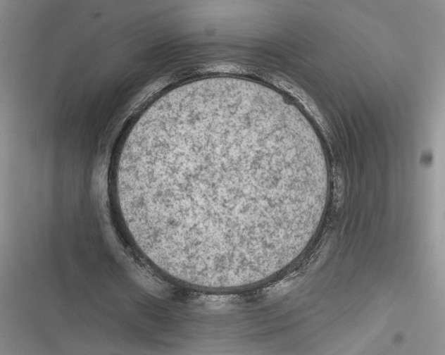 X0000116850482201001121223