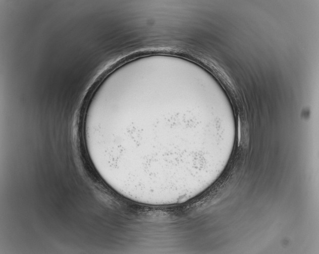 X0000116850483201001121223