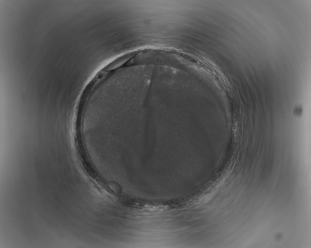 X0000116850484201001121223