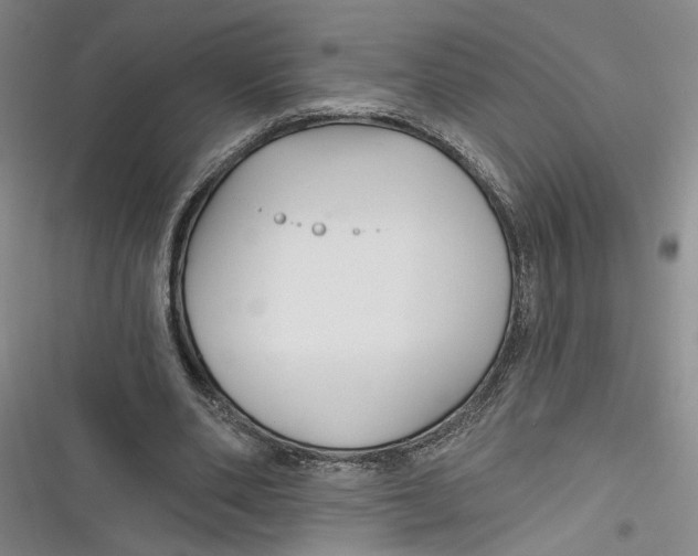 X0000116850486201001121223