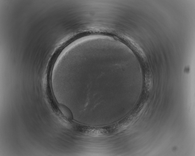 X0000116850488201001121223