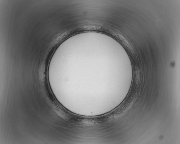 X0000116850490201001121223