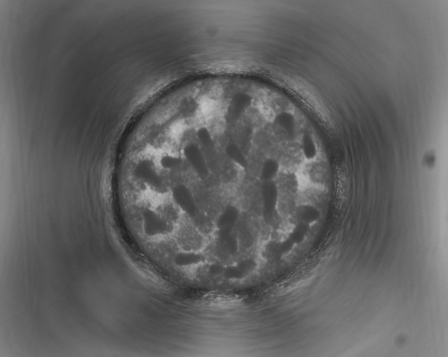 X0000116850491201001121223