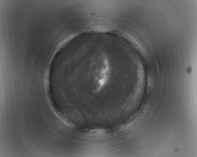 X0000116850492201001121223