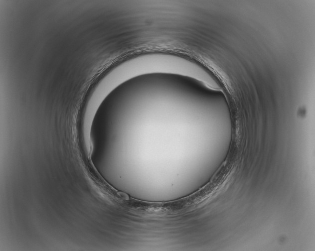 X0000116850493201001121223