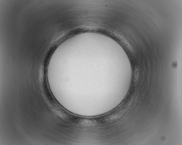 X0000116850494201001121223