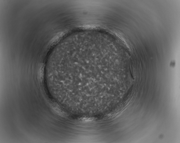 X0000116850495201001121223