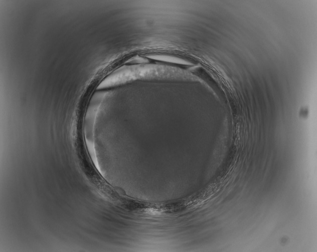 X0000116850496201001121223