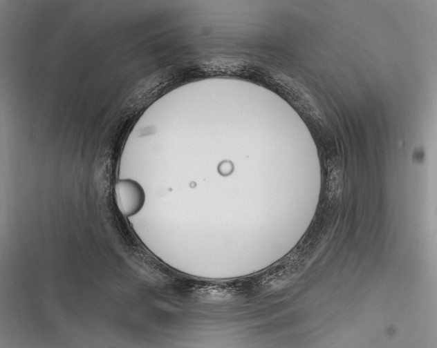 X0000116850498201001121223