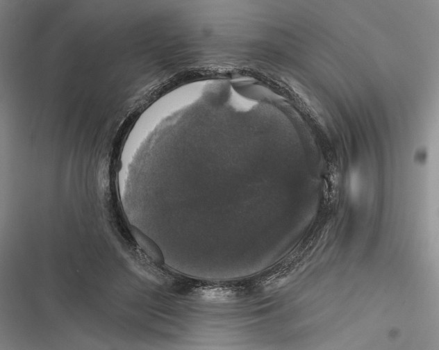 X0000116850500201001121223