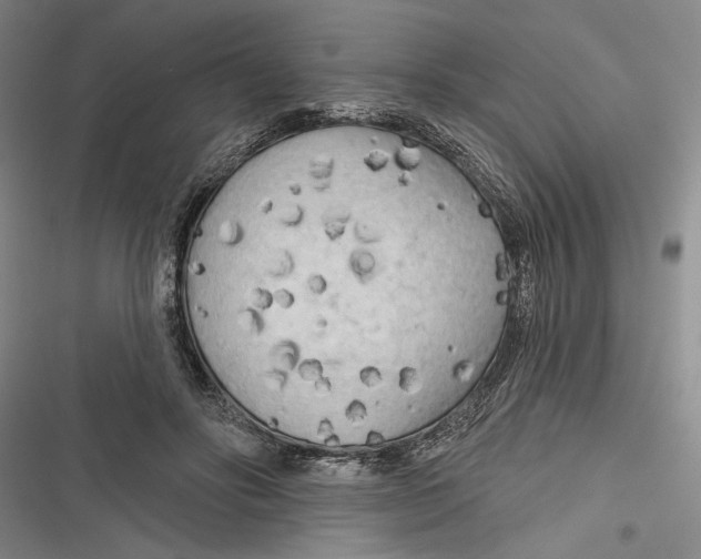 X0000116850502201001121223
