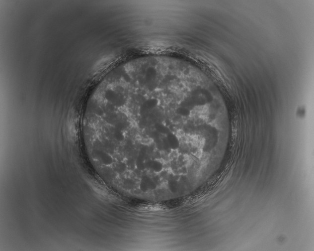 X0000116850503201001121223