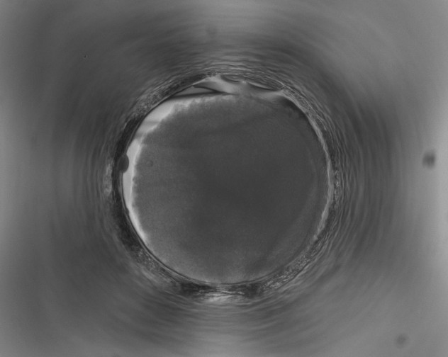 X0000116850504201001121223