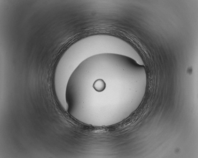 X0000116850505201001121223