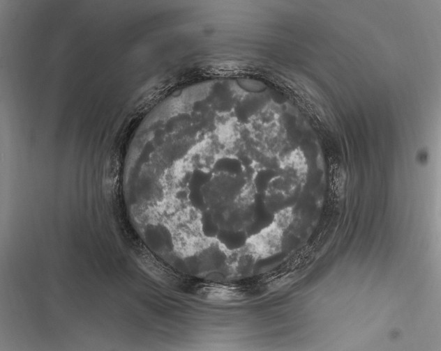 X0000116850507201001121223