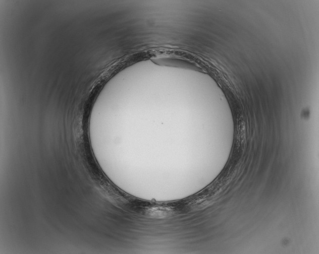 X0000116850508201001121223