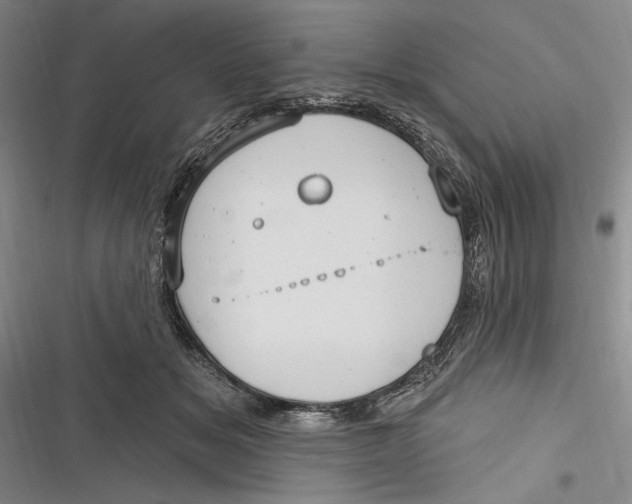 X0000116850509201001121223