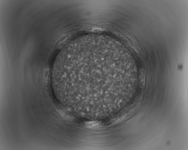 X0000116850511201001121222