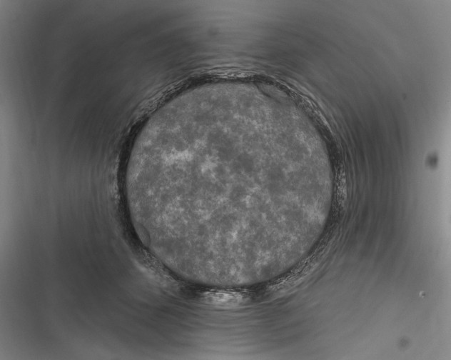 X0000116850512201001121222