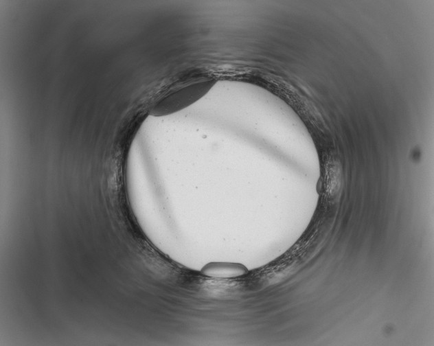 X0000116850515201001121222